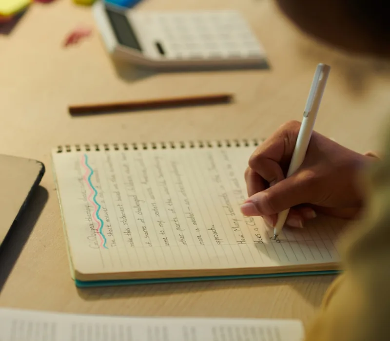 Professional Essay Writing Services